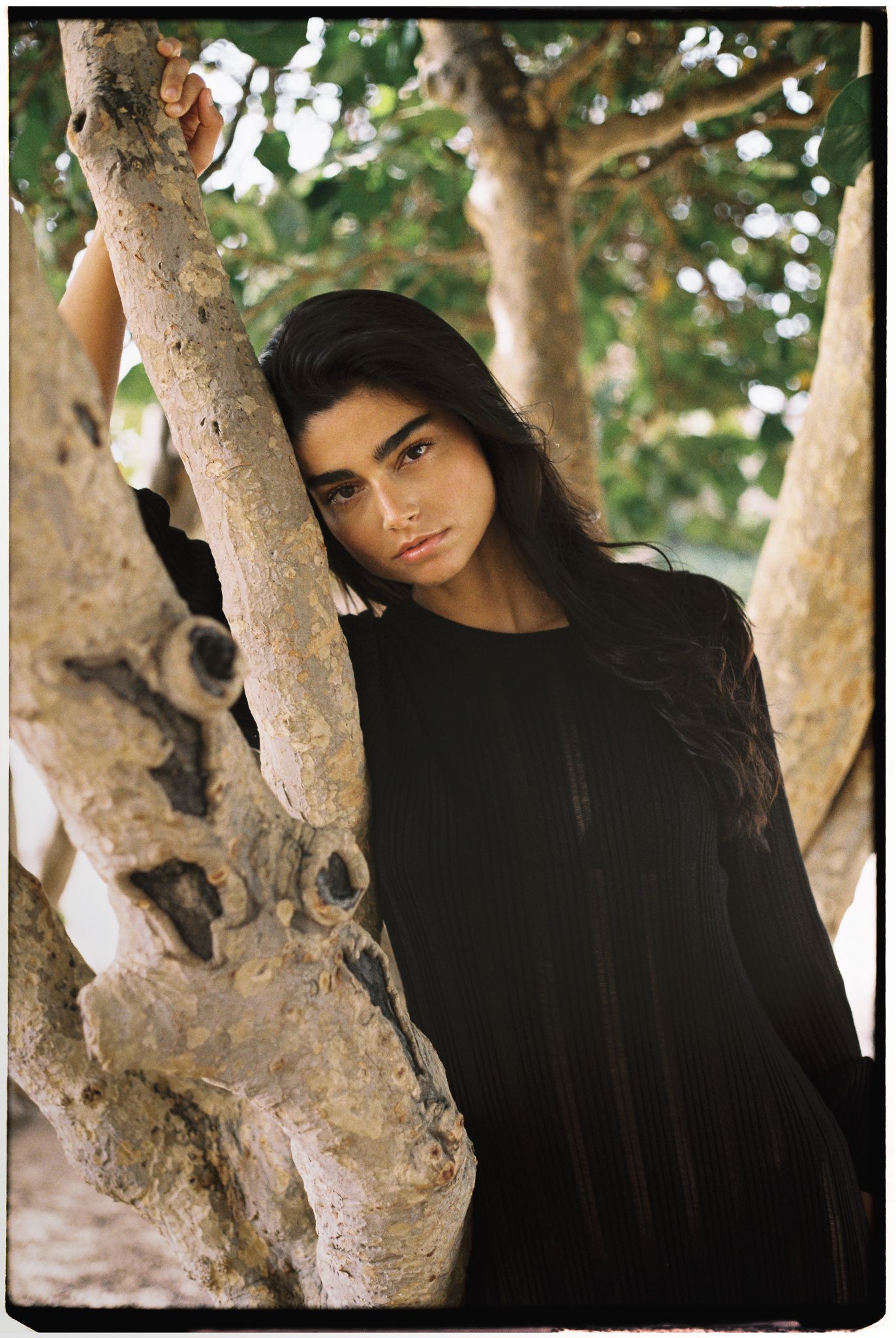 Imagen sin descripción