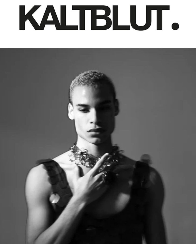 DANIEL FOR KALTBLUT